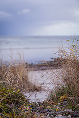 Image showing beautiful landscape dunes baltic sea in autumn winter