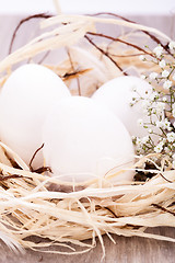 Image showing Plain undecorated Easter eggs in a nest