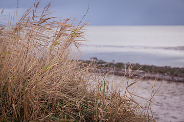 Image showing beautiful landscape dunes baltic sea in autumn winter