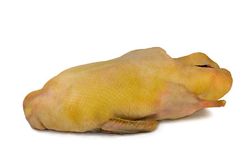 Image showing The carcass of crude ducks on a white background.