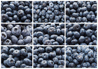 Image showing Blueberries