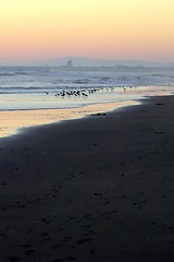 Image showing Beach Sunset Ormond Beach