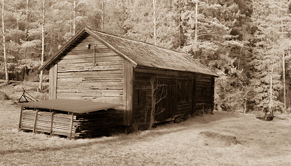 Image showing Shack in the woods