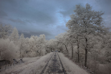 Image showing Infrared landscape train tracks