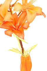 Image showing Detail of flowering orange lily