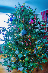 Image showing Decorated Christmas tree in living room