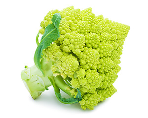 Image showing Romanesco broccoli