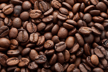 Image showing Coffee beans