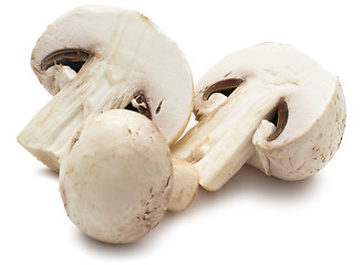 Image showing Champignon mushrooms