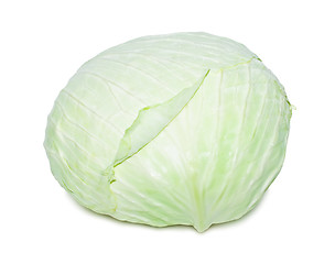 Image showing Cabbage