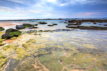 Image showing Toowoon Bay Reefs