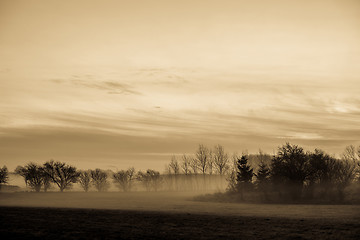 Image showing Morning mist