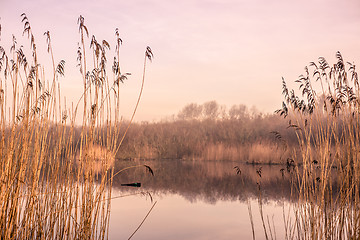 Image showing Idyllic lake