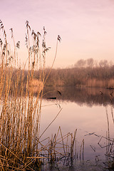 Image showing Idyllic lake