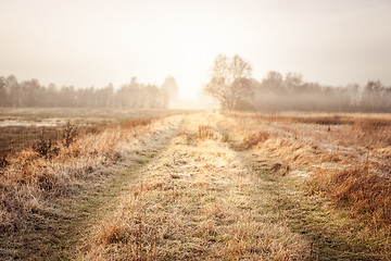 Image showing Road in nature