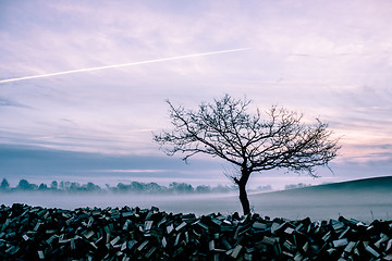 Image showing Morning mist