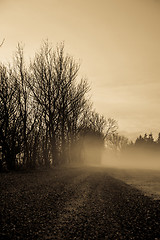 Image showing Morning mist