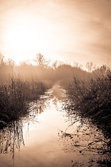 Image showing Idyllic lake