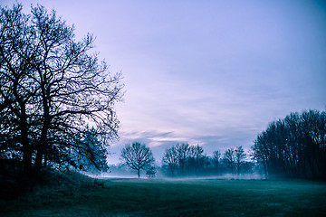 Image showing Morning mist