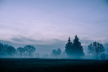 Image showing Morning mist