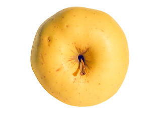 Image showing Apple fruit