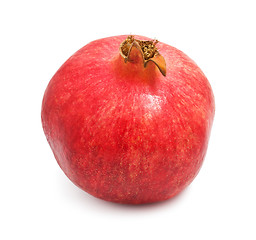 Image showing Pomegranate