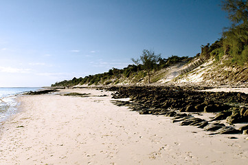 Image showing Sand dunes on a beach