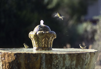 Image showing Fountain