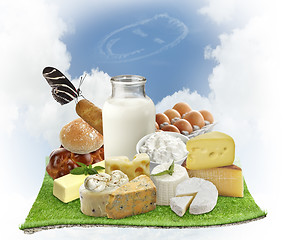 Image showing Dairy Products