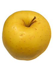 Image showing Apple fruit