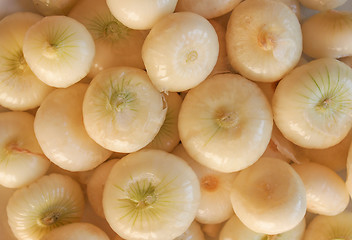 Image showing Onions