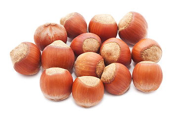 Image showing Hazelnuts or filbert