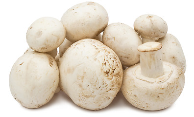 Image showing Champignon mushrooms