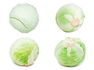 Image showing Cabbage