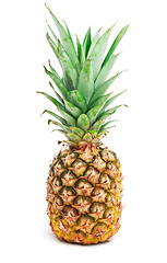 Image showing Pineapple