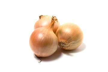 Image showing Onion isolated on white