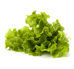 Image showing Lettuce salad isolated on white background