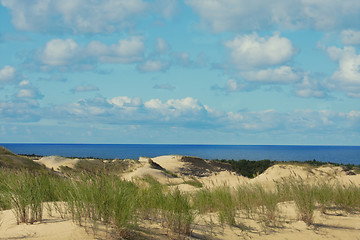 Image showing Beautiful Baltic Sea sand beach 