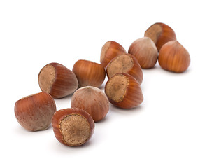 Image showing hazelnuts isolated on white background