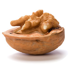 Image showing walnut