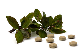 Image showing herbal medicine isolated on white background 