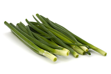 Image showing spring onion 