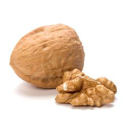 Image showing walnut