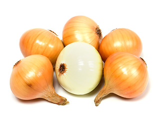 Image showing onion isolated on white background