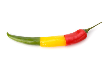 Image showing Chili pepper isolated on white background