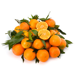 Image showing Tangerines 