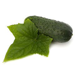 Image showing cucumber