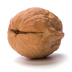 Image showing walnut