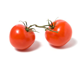 Image showing fasten tomato isolated on white background 