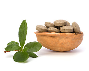 Image showing herbal pills